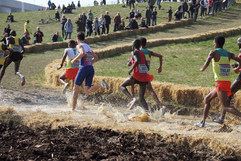 Illustration for article titled Real Cross Country Delivers Real Redemption